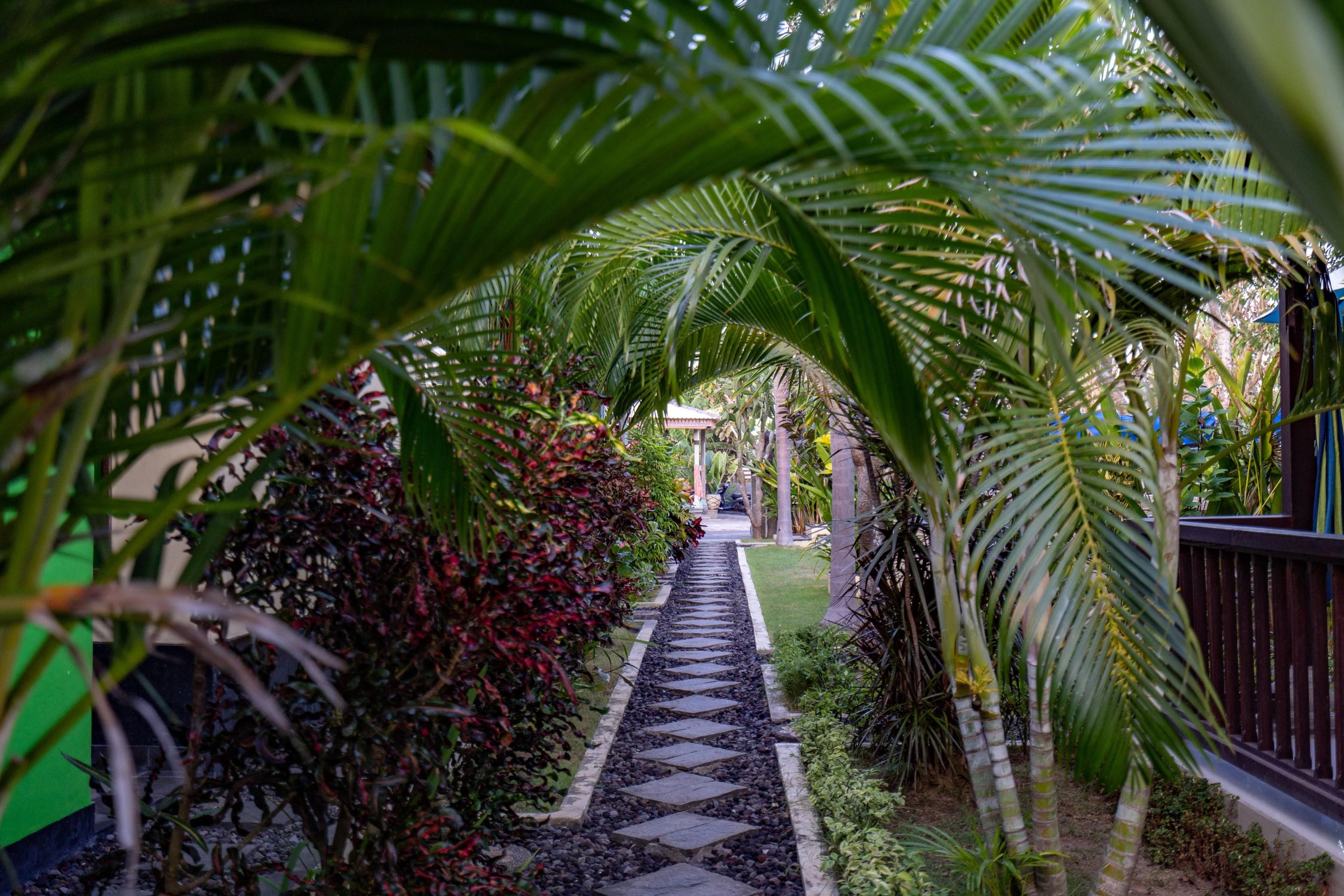 Dream Beach Kubu & Spa By Abm Lembongan Extérieur photo